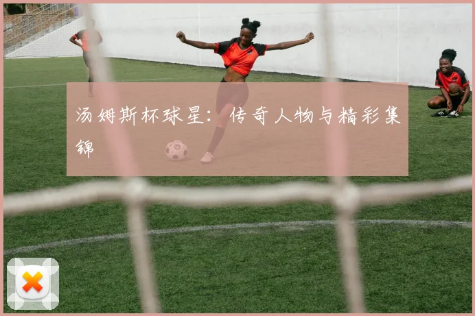 汤姆斯杯球星：传奇人物与精彩集锦