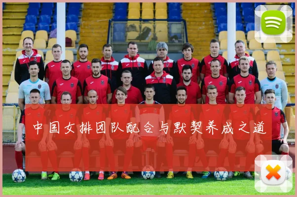 中国女排团队配合与默契养成之道