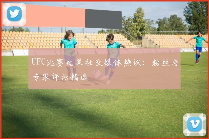 UFC比赛结果社交媒体热议：粉丝与专家评论精选