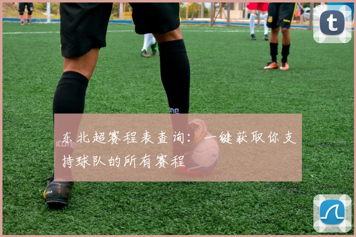 东北超赛程表查询：一键获取你支持球队的所有赛程