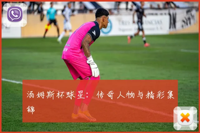 汤姆斯杯球星：传奇人物与精彩集锦
