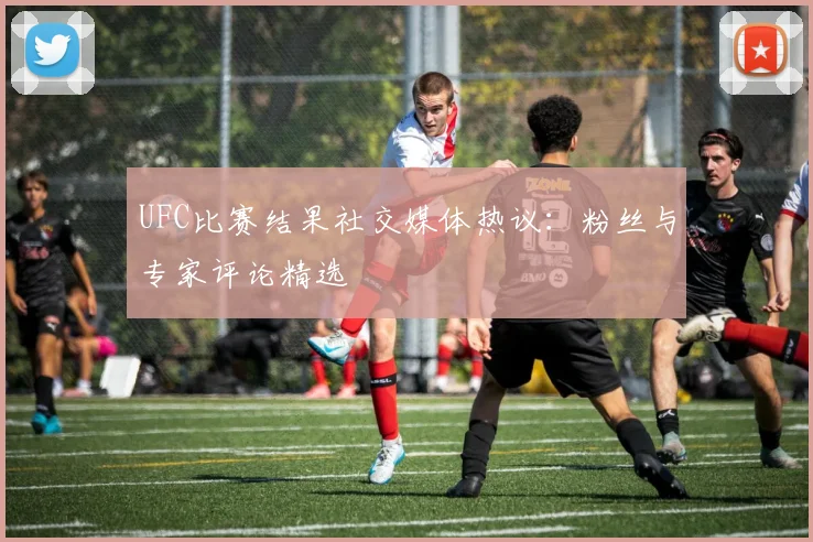 UFC比赛结果社交媒体热议：粉丝与专家评论精选