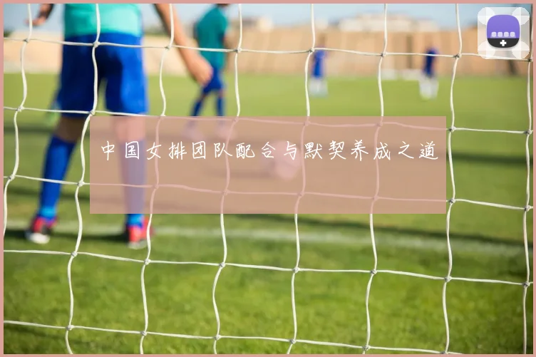 中国女排团队配合与默契养成之道